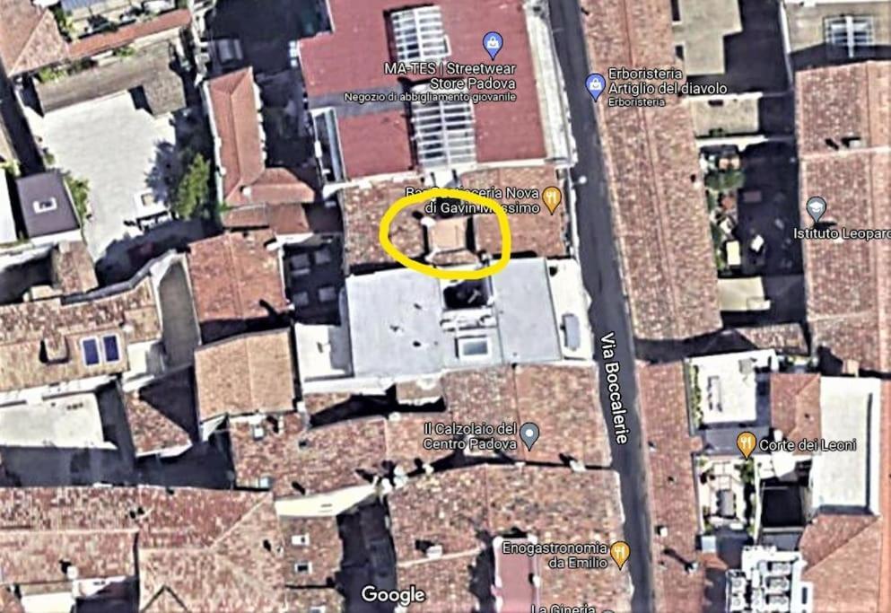Residence Dei Frutti Pieno Centro - Il Cedro Padova Dış mekan fotoğraf